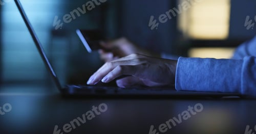 Preview: Online shopping with credit card and laptop computer