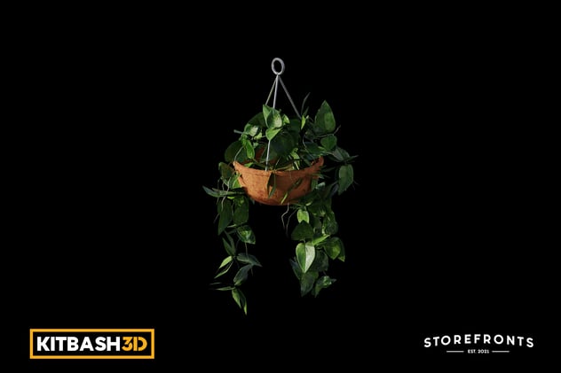 Kitbash: Storefronts - Hanging Pothos Plant 3D, Incl. hanging & nature ...
