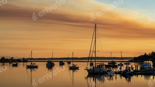 Preview: Aerial view of pier surrounded by boats in Lopez island during sunset