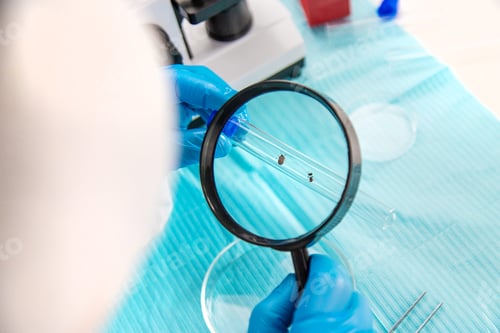 Preview: Tick in a test tube in the laboratory. Selective focus.