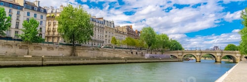 Preview: Paris, panorama of the Pont-Neuf, with buildingsquai de Conti