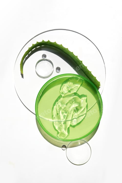 Preview: Abstract cosmetic laboratory. A piece of aloe vera and fresh gel on a glass petri