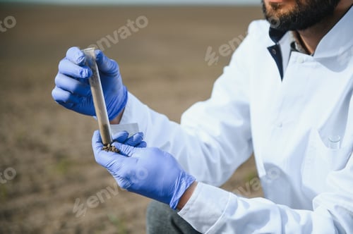 Preview: Agronomist studying samples of soil in field