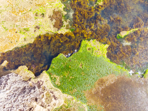Preview: Pearses Beach Aerial in Australia