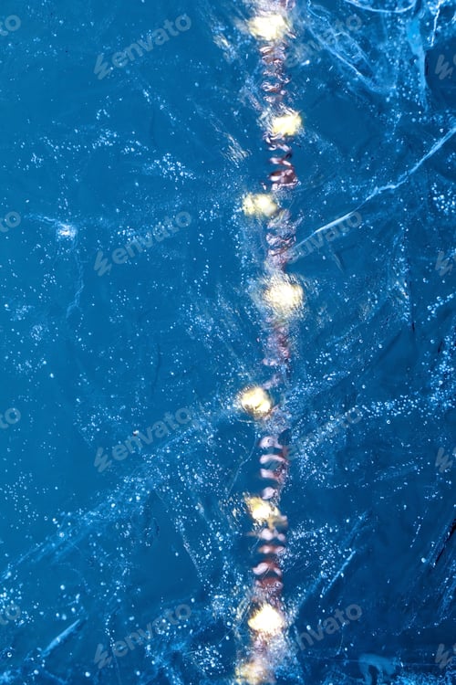 Preview: Cristmas card with bird in ice block