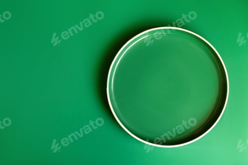 Preview: Green plate on a green background. Monochrome.