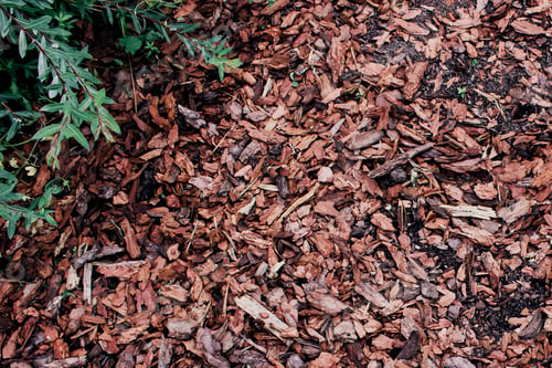 Preview: Abstract wood chips. Top view. Nature background.