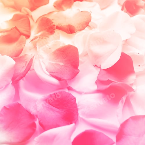 Preview: Colorful Flowers In Soft Color And Blur Style For Background