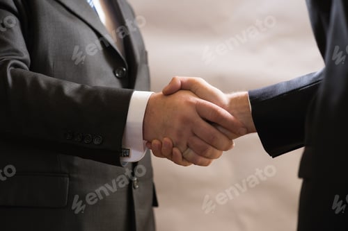 Preview: Business handshake of two businessmen in suits, negotiate and make a deal