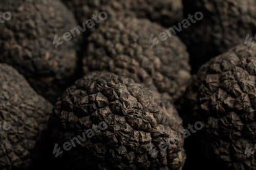Preview: Closeup view of fresh whole black truffles