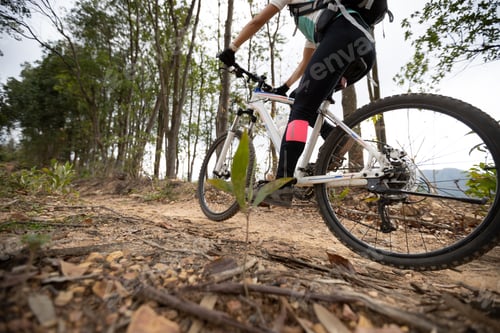 Preview: Woman cyclist cycling on mountain top forest trail