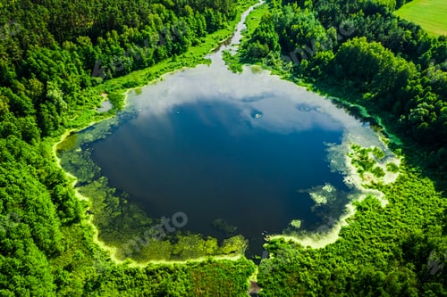 Preview: Amazing blooming algae on the lake in summer, aerial view