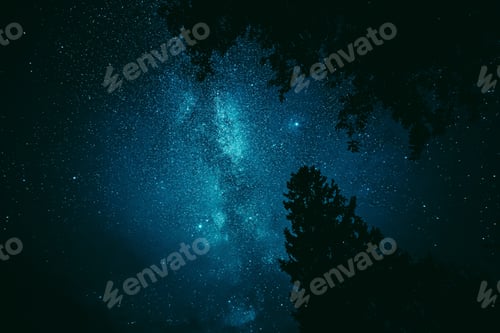 Preview: Bright Night Sky Stars Above Dark Black Crowns Of Pine Trees Woods Silhouettes. Natural Starry Sky