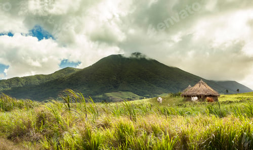 Preview: Cattle, huts, and volcano in tropical location