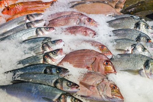 Preview: Fresh fish at the market