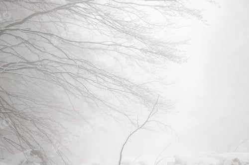 Preview: Minimalistic winter background
