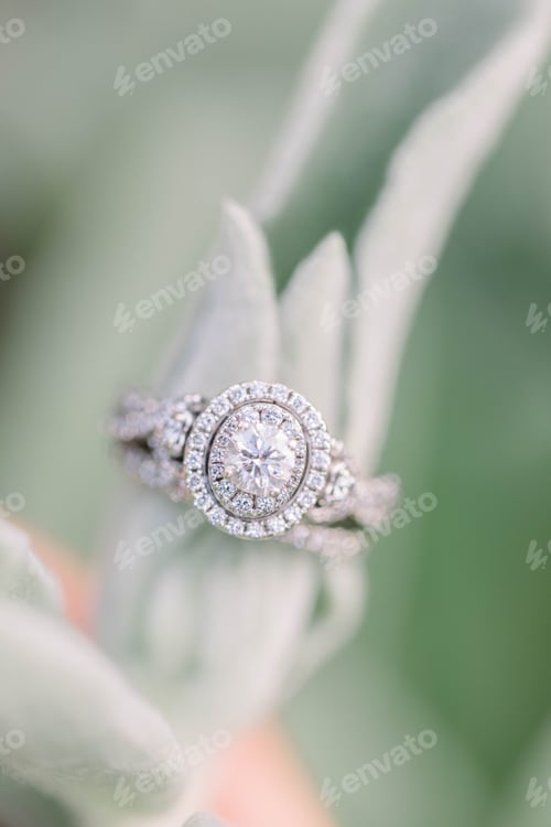 Preview: Oval diamond ring on a green leaf
