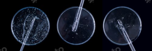 Preview: banner glass pipette serum gel closeup in petri dish on a dark background