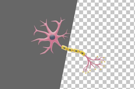 Preview: Multipolar Neuron 3D Icon