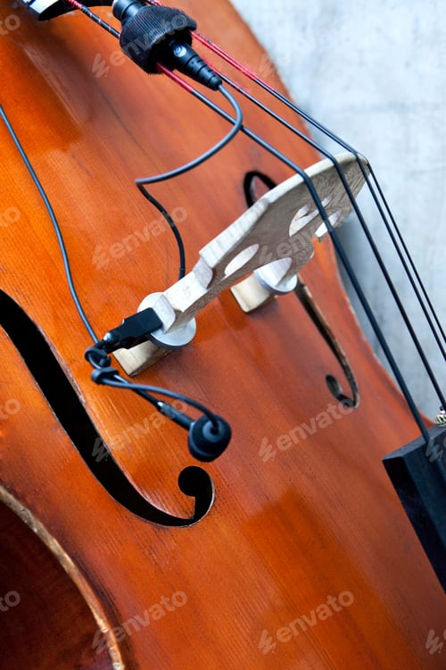 Preview: Details of a bass