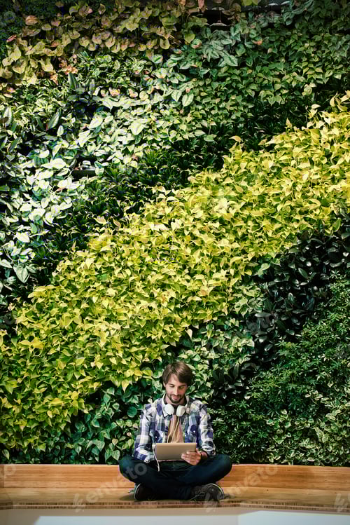 Preview: Young man sitting infront of green plant wall, using digital tablet