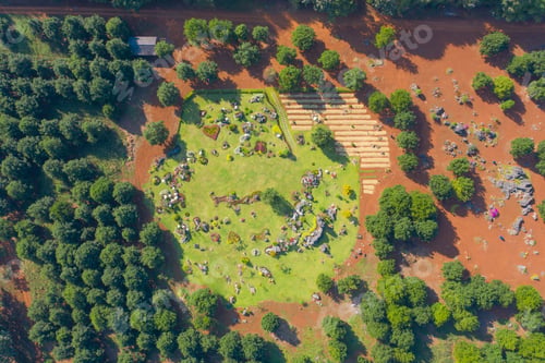 Preview: Lush green trees in tropical forest. Nature landscape background.