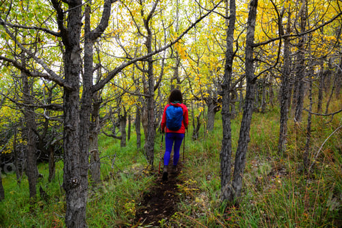 Preview: Adventurous Girl Hiking on the Mountain