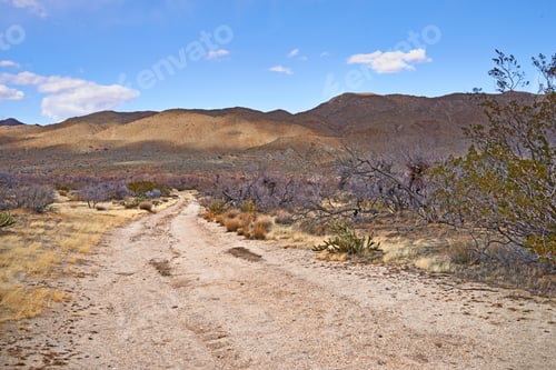 Preview: Desert trail - Anza-Borrego