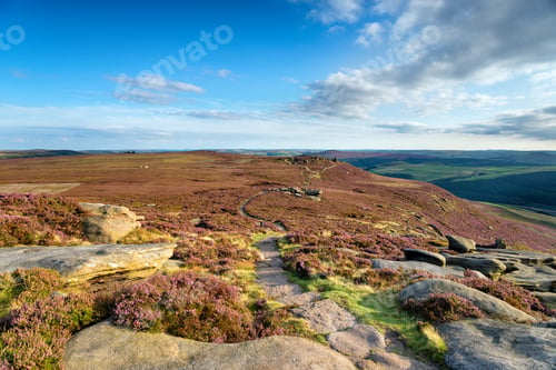 Preview: Late Summer on Derwent Edge