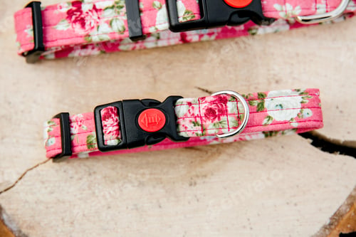 Preview: Dog Collar and Leash set. Pet Supplies and Walking Gear Collection