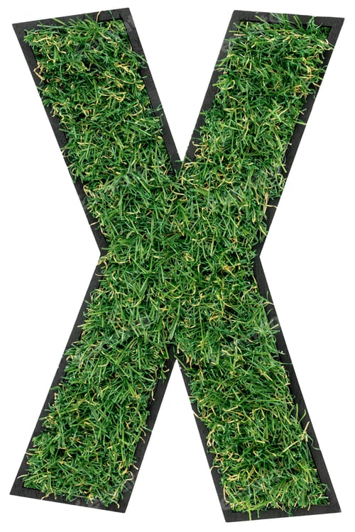 Preview: Letter X made of green grass isolated on white.