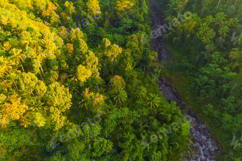 Preview: Nature landscape background in Java island, Indonesia
