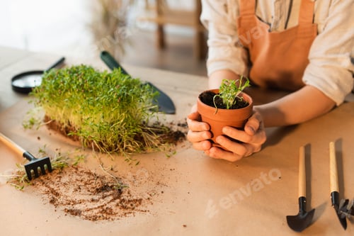 Preview: Cropped view of girl holding flowerpot with microgreen near gardening tools at home
