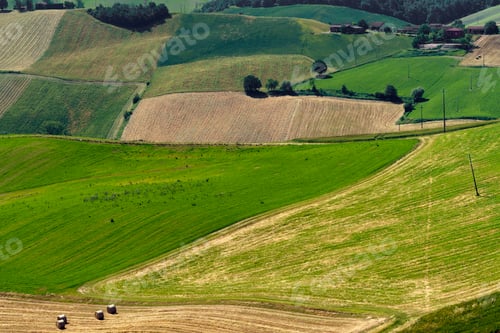Preview: Rural landscape near Salsomaggiore and Fornovo, Parma, at springtime