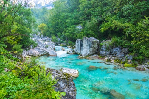 Preview: Beautiful turquoise river in the Triglav National Park in Slovenia.