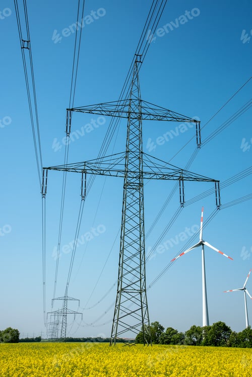Preview: Power supply lines in a field of blooming oilseed rape