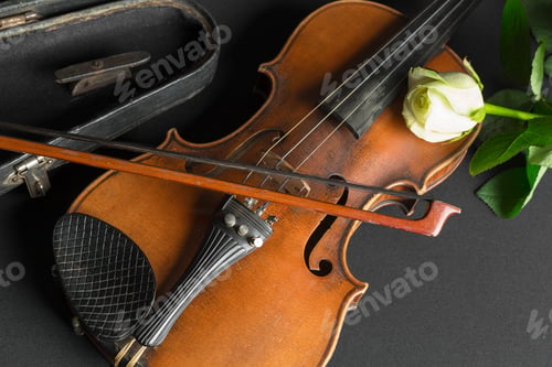Preview: Violin and rose on black background.