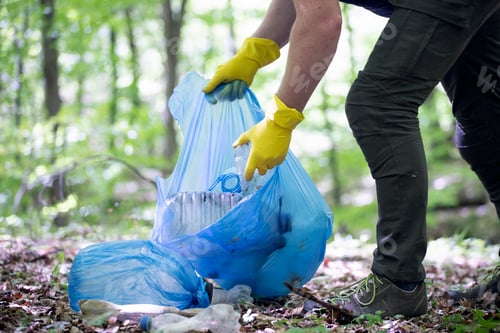Preview: Volunteer collecting garbage in the woods.