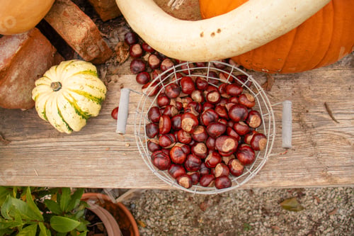 Preview: Harvesting, Chestnuts in a Basket and Pumpkins on a Wooden Table Top View