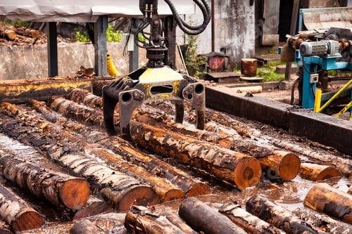Preview: Treatment process of harvester log loader lifting up logs from hot water in manufacture plant