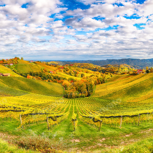 Preview: Fabulous vineyards landscape in South Styria near Gamlitz.