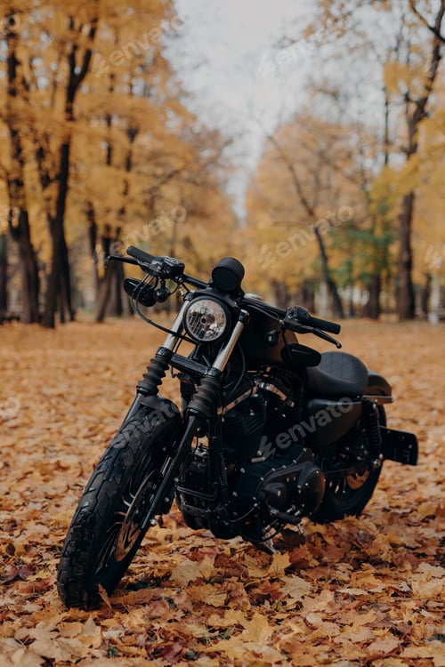 Visualização: Black motorbike in autumn park. Fast motorcycle outdoor for having ride.