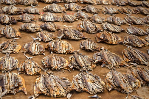 Preview: Fishmarket