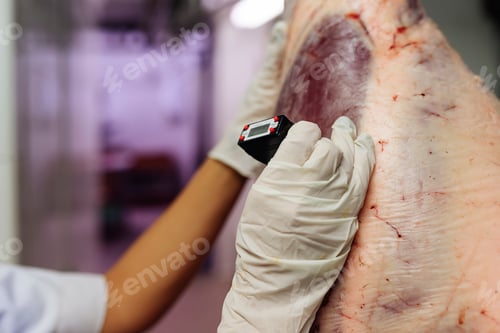 Preview: Meat quality control in butchery.