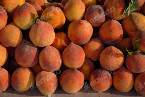 Preview: Freshly picked organic peaches on a market stall, Spain