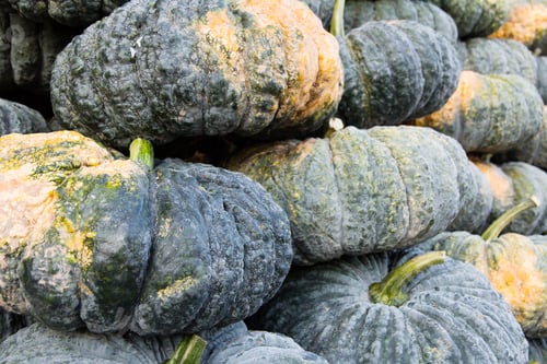Preview: Pile of pumpkin in market