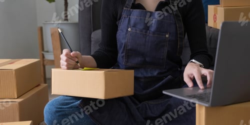 Preview: Starting small businesses SME owners female entrepreneurs Write the address on receipt box and check