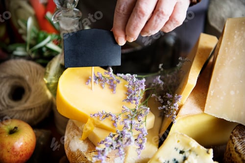 Preview: Stacked hard cheese in a beautiful spring setting and a label copy space for the cheese