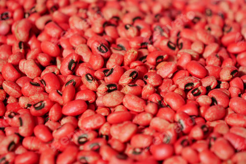Preview: Closeup of red soy beans texture background.