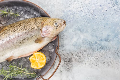 Preview: Raw trout fish